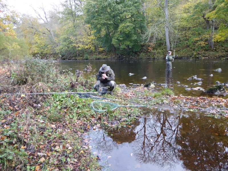 Members fishing the River Tees on the Romaldkirk beat