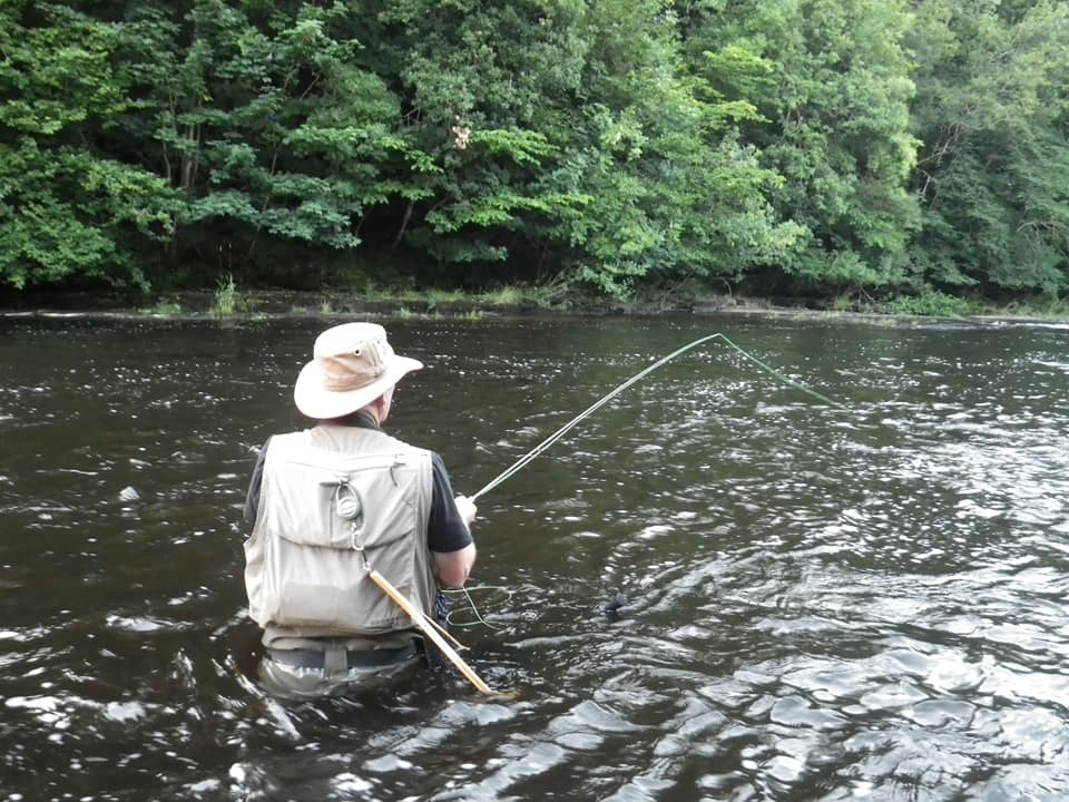 Looking downstream