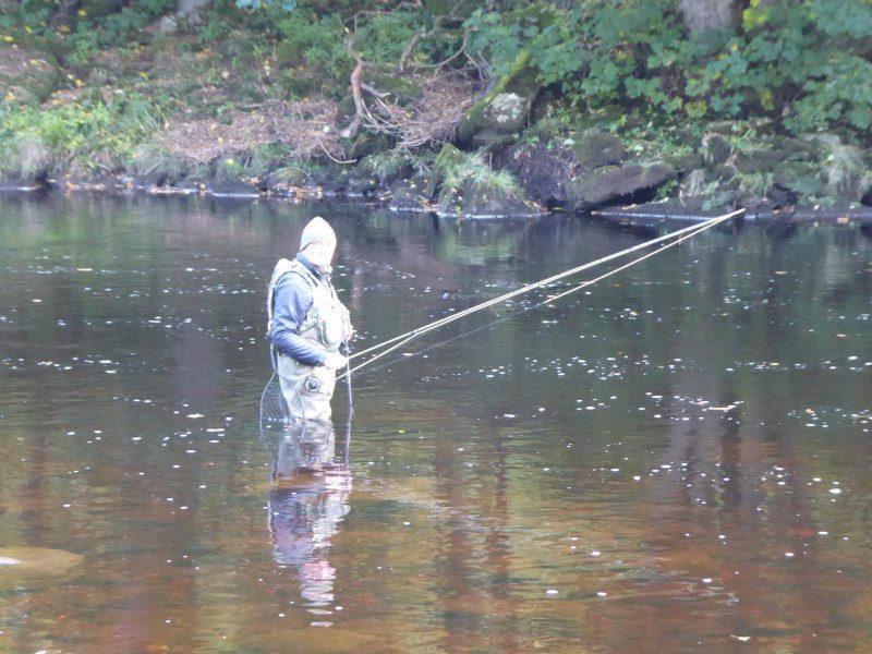 Fishing the Long Glide