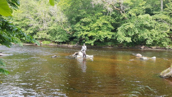 A perfect day on the Tees