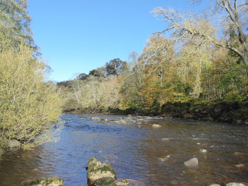 Autumn on the River Tees