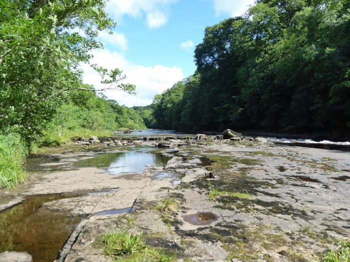 A summer view of the beat