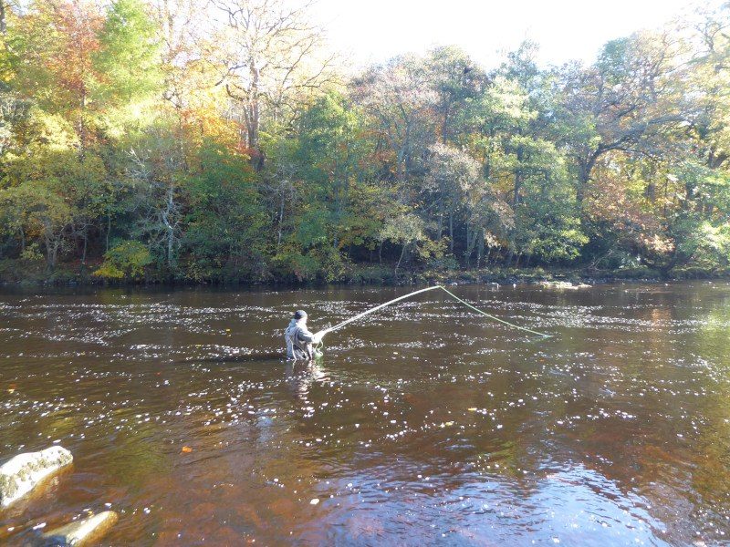 Fishing the bottom end