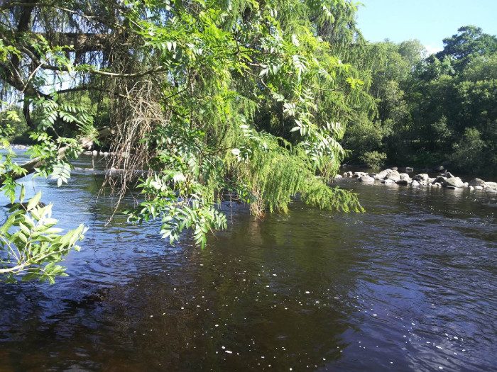 Wooded River Tees at Romaldkirk
